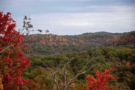 Daniel Boone National Forest | Daniel boone national forest, State ...