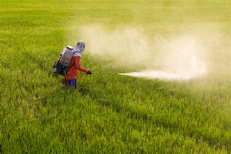 Meet Monsanto's evil twin: 8 disturbing facts about the chemical fertilizer industry | Salon.com