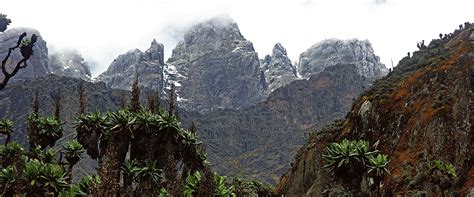 Rwenzori Mountains National Park - Epic Uganda Vacation