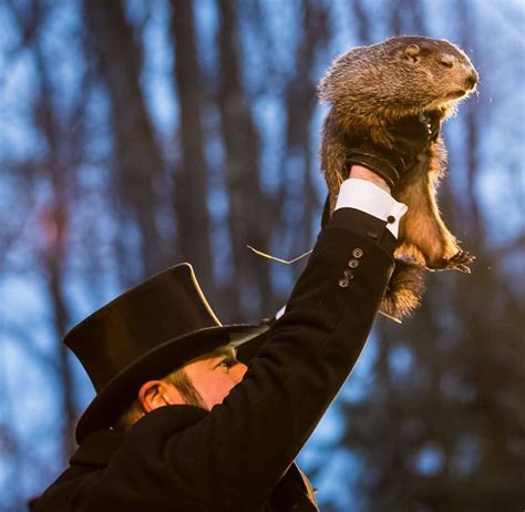 Groundhog Day : Punxsutawney Phil Predicts 6 More Weeks of Winter