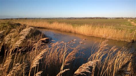 Romney Marsh | Romney marsh, Natural landmarks, Romney