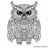 Zentangle Owl Coloring Pages  Free & Printable sketch template