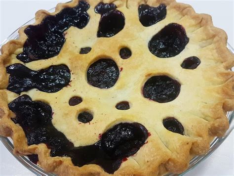 Maryam's Culinary Wonders: 1235. Mulberry Pie