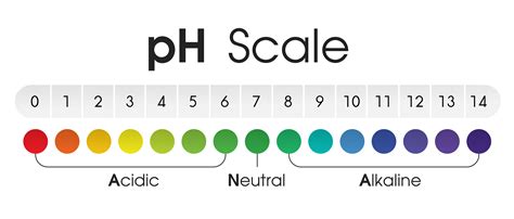 Acid Base Neutral Chart