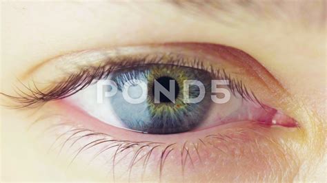 Pupil Constriction Process in Human Eye Stock Footage #AD ,#Process# ...