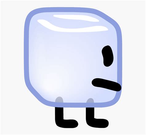 Bfdi Icy