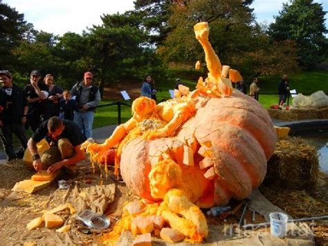 The World Record Pumpkin Carving | amazing photos | wallpaper | photography