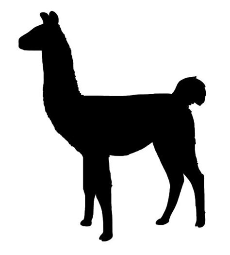 Llama Icon #187564 - Free Icons Library