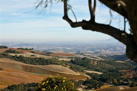 This is How I Toured Paso Robles Wine Country | Paso robles, Wine country, Country