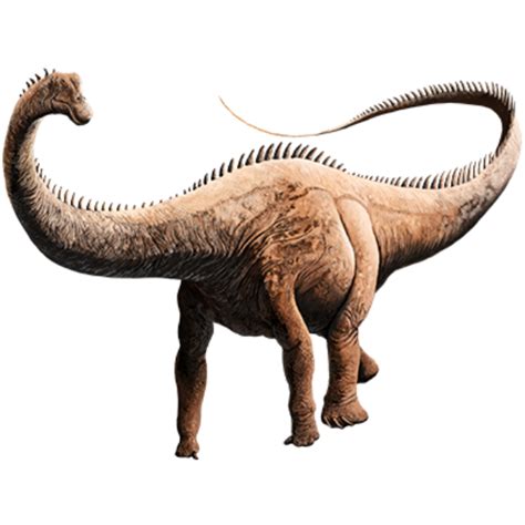 Diplodocus | Sauropod Dinosaur Diplodocus | Facts & Information