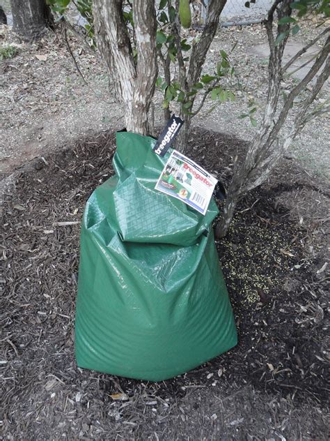 Gator bags | Not only did the City helps us select good tree… | Flickr