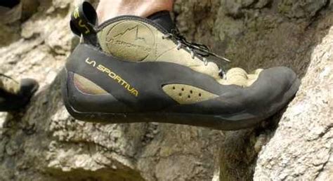 What Climbing Shoes Does Alex Honnold Wear + Free Solo Q&A - Climber News