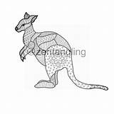 Kangaroo Coloring Pages For Adults sketch template