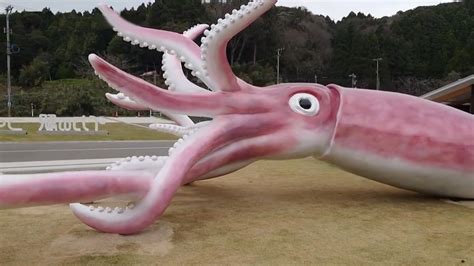 Japan town builds giant squid statue with $250,000 COVID grant - CGTN