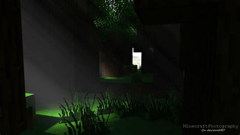 Black Forest by MinecraftPhotography on DeviantArt