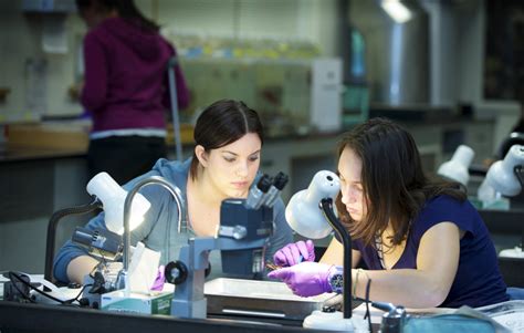 Top Five Colleges For A Field On The Rise: Marine Biology