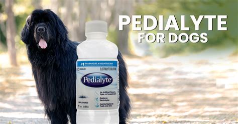 Pedialyte For Your Dog? Cautions And Alternatives - Dogs Naturally