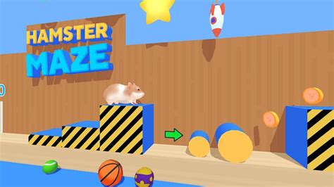 Hamster Maze for PC – Download & Install in 3 Simple Steps in 2021 ...