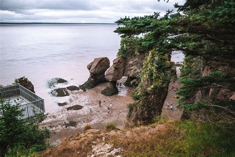 12 Beaches In New Brunswick, Canada That Are Worth A Visit | Drink Tea ...