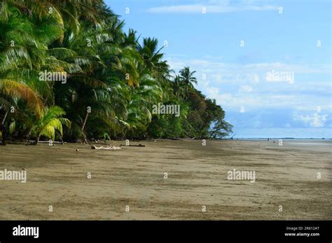 The marine area of Marina Ballena National Park in Costa Rica Stock Photo - Alamy