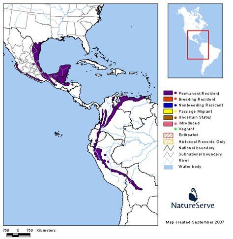 Americas Range Map - Green Jay | BirdPhotos.com