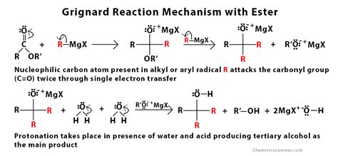 Dach Teilnahme Kerzen grignard reaction with carboxylic acid mechanism Teuer Pipeline George Hanbury