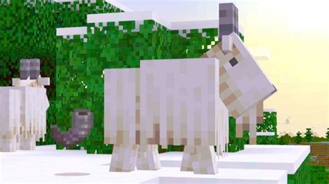 Top 5 unique features for Minecraft Goats!