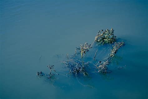 Murky Water - Fine Art Photo by David Gibbeson Photography