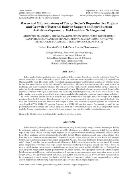 (PDF) Macro and Micro-anatomy of Tokay Gecko's Reproductive Organs and Growth of External Body ...