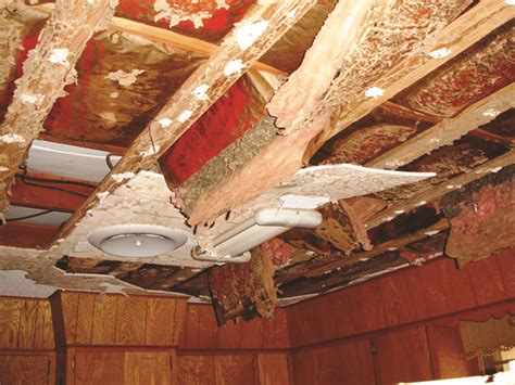 Termite Ceiling Damage - Termites in Ceilings