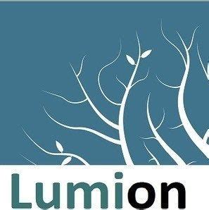 Lumion Training Courses | Real Animation Works