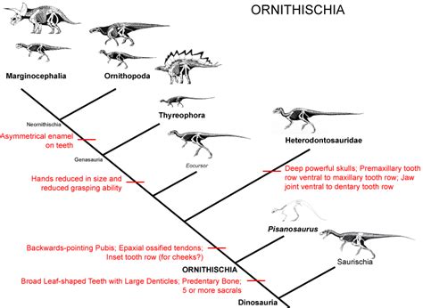 Dinos for Dummies: A Novice's Guide to the Paleoworld: The Secret's in the hips (Or The One that ...