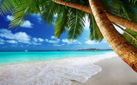 Tropical Beach Landscape Wallpapers Wallpaper Download - High ...