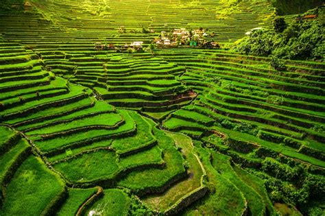 19 Spectacular Examples of Terraced Agriculture [PICs]