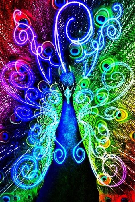 rainbow peacock by icebatwarrior99 on DeviantArt | Peacock, Peacock art ...