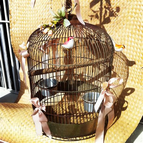 Free Images : food, symbol, freedom, basket, lighting, cage, birds, liberty, metaphor 1936x1936 ...