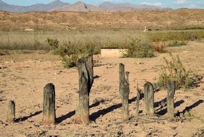 Ghost Town Emerges As Drought Makes Nevada's Lake Mead Disappear | Lake mead, Ghost towns, Town lake