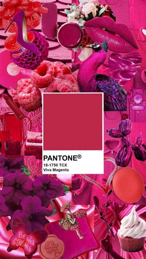 pantone's color of the year is pink and has lots of different shades