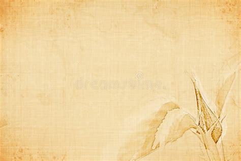 Rose canvas stock image. Image of canvas, abstract, beautiful - 4688201