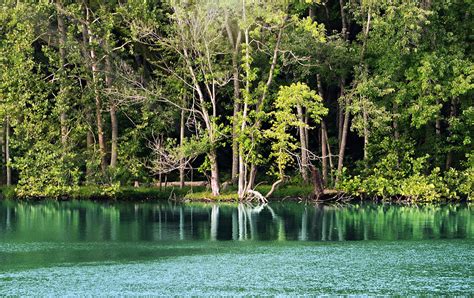 Enchanted Lake Photograph by Ally White