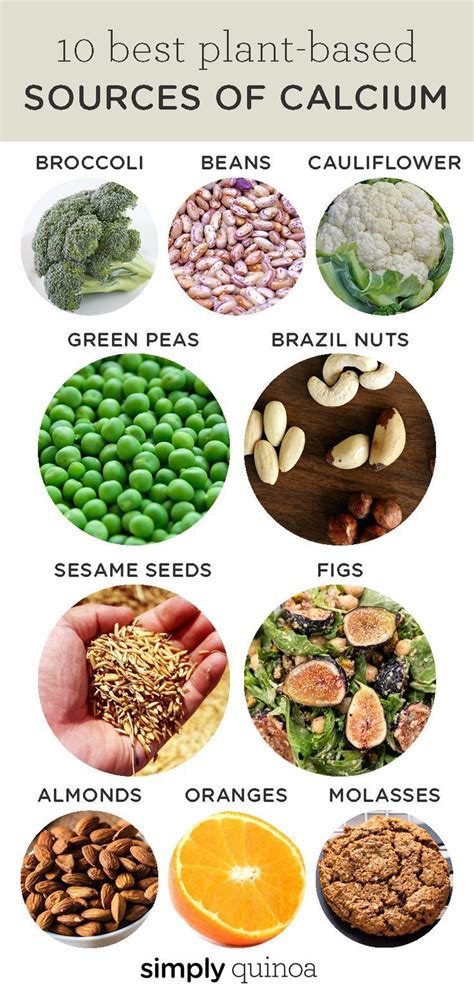 10 TOP Vegan Sources of Calcium | Foods High in Calcium | Simply Quinoa ...