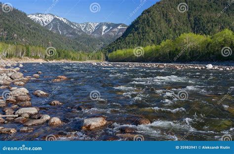 Spring on river Snezhnaya stock image. Image of nature - 35983941