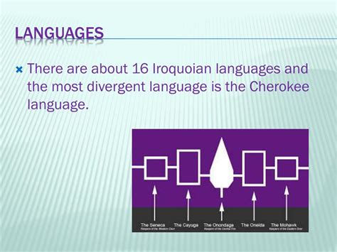 PPT - Iroquoian People PowerPoint Presentation, free download - ID:2364733