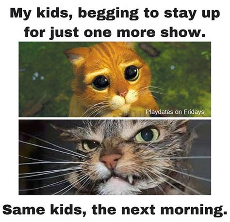 202 Parenting Memes That Will Make You Laugh So Hard It Will Wake Up Your Kids | Bored Panda