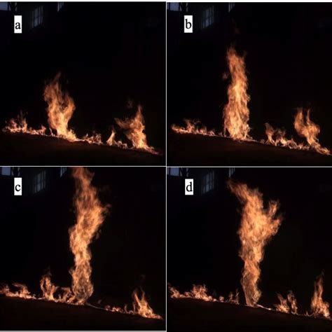 (PDF) Fire Whirl due to Interaction between Line Fire and Cross Wind