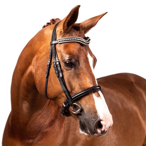 Dressage Bridles | Quality Equestrian Gear | Flexible Fit Equestrian LLC