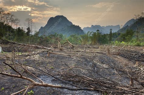 Slash and burn deforestation near Vang Vieng, Laos - Stock Image - C041/1765 - Science Photo Library