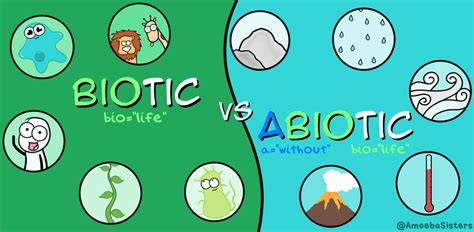 Abiotic vs Biotic - Assessment