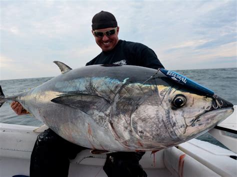 Atlantic Bluefin Tuna Fishing Regulations - All About Fishing