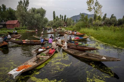 Floating Vegetable Market on Dal Lake India - A Must Visit Place in ...